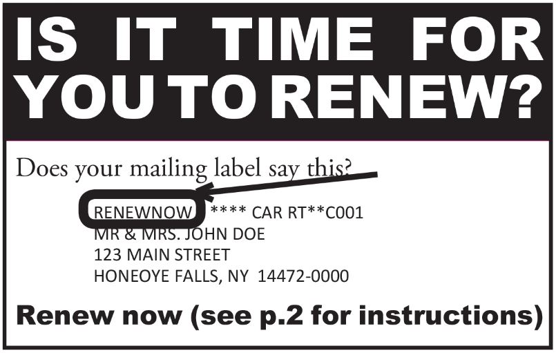 Is it Time for You to Renew?