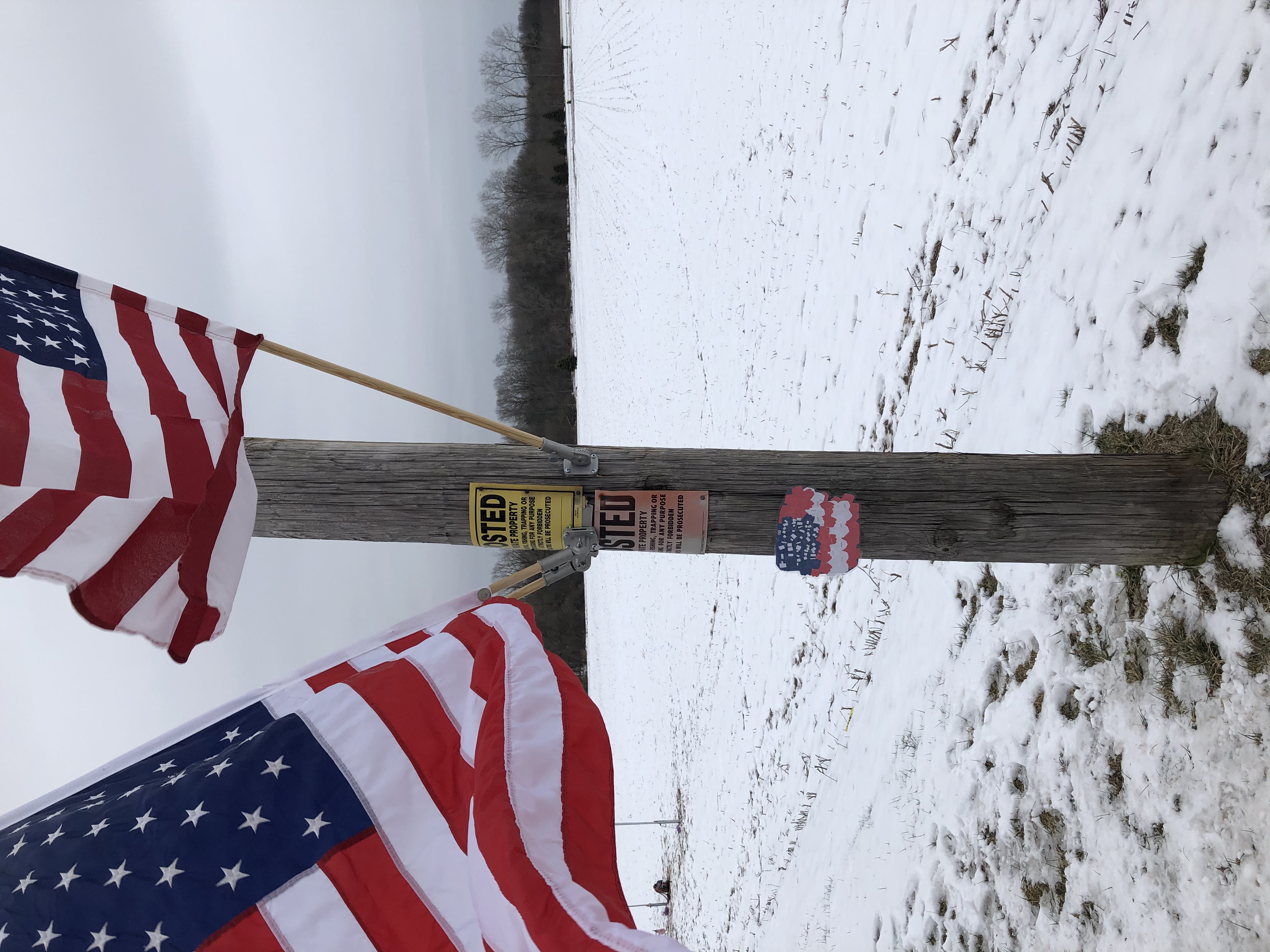 Flags stolen from helicopter crash memorial site
