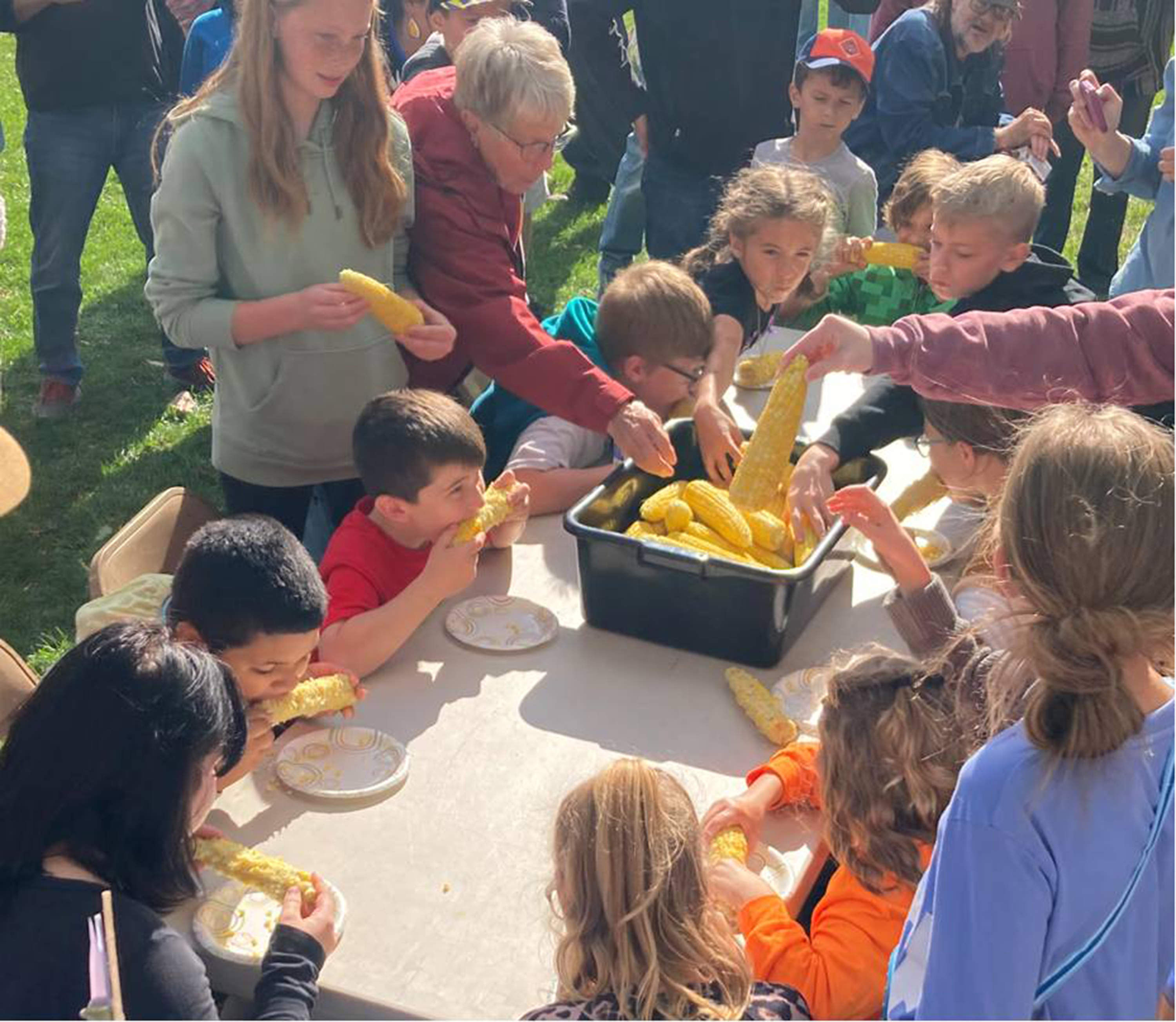 Second Annual Lima Pumpkin Festival And AG Day Will Feature Plenty of Fun