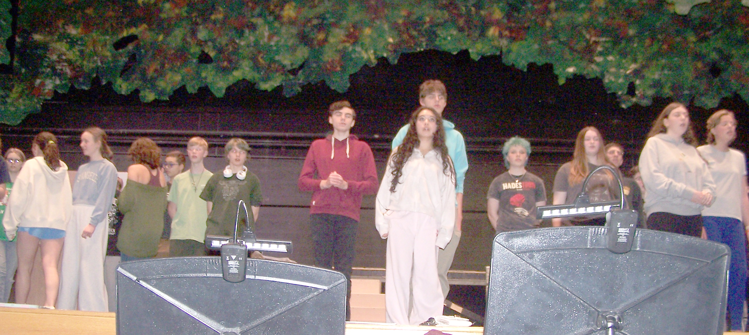 Rodgers And Hammerstein’s Cinderella To Be Performed By HF-L Students
