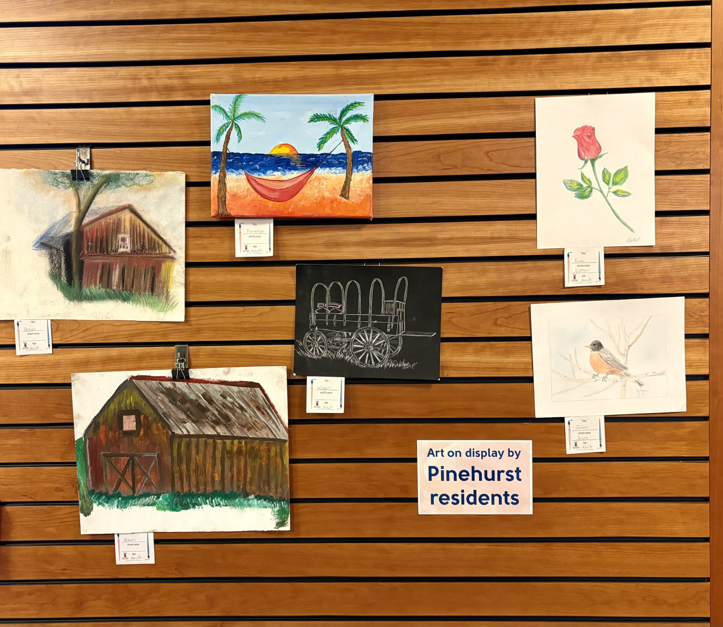 Pinehurst Residents Display Art At Mendon Public Library
