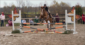 Dettman goes for horseback riding’s Cacchione Cup